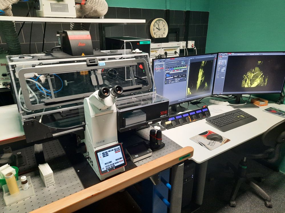 Leica Stellaris of BRC